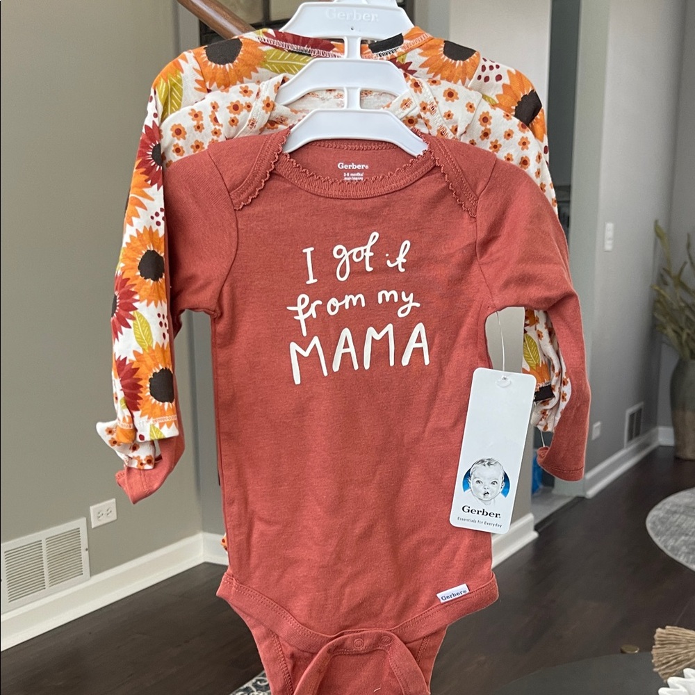 Gerber Rust and Floral Kids Bodysuit Set